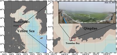 Phycospheric bacterial community structure and function succession during the typical harmful macroalgal blooms